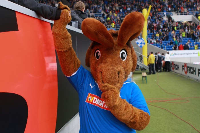 Eine der wenigen Ausnahmen im deutschen Fußball: Die TSG Hoffenheim