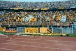 'Nicht PCB, 40.000 Schalker verseuchten euer Stadion!!!' - Dortmund in Berlin