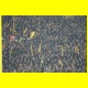 THB_0093.jpg