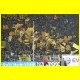 THB_9587.jpg