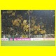THB_9635.jpg