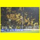 THB_9681.jpg