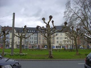 Spurensuche rund um den Borsigplatz