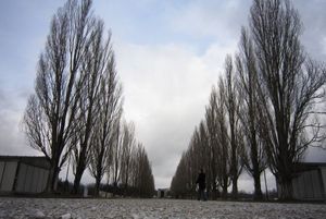 BVB Fans besuchen die Gedenkstätte Dachau