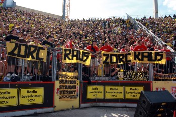 Unverständnis beim Dortmunder Anhang über die Personalie Mladen Petric