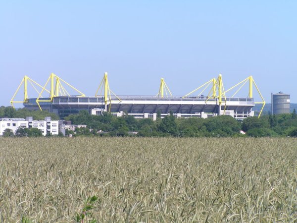 Stadion von Uni aus