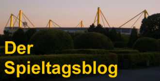 logo spieltagsblog