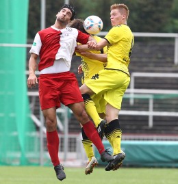 Halstenberg und Hofmann mit vereinten Kräften