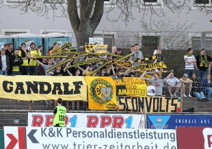 Insgesamt waren rund 150 Schwatzgelbe im Moselstadion