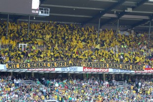 Borussia supporters