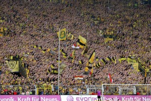 The Yellow Wall celebrating the team