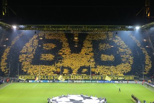 Go on, Ballspielverein!