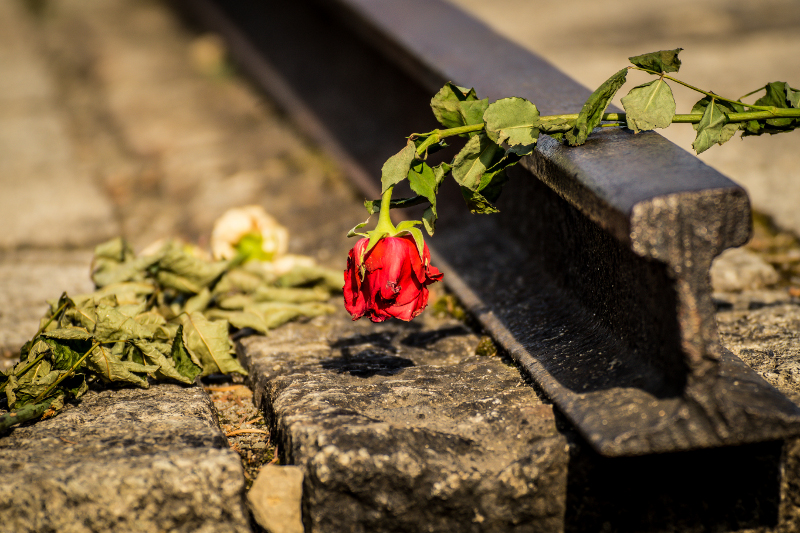 Die Erinnerung an Auschwitz darf nicht verwelken