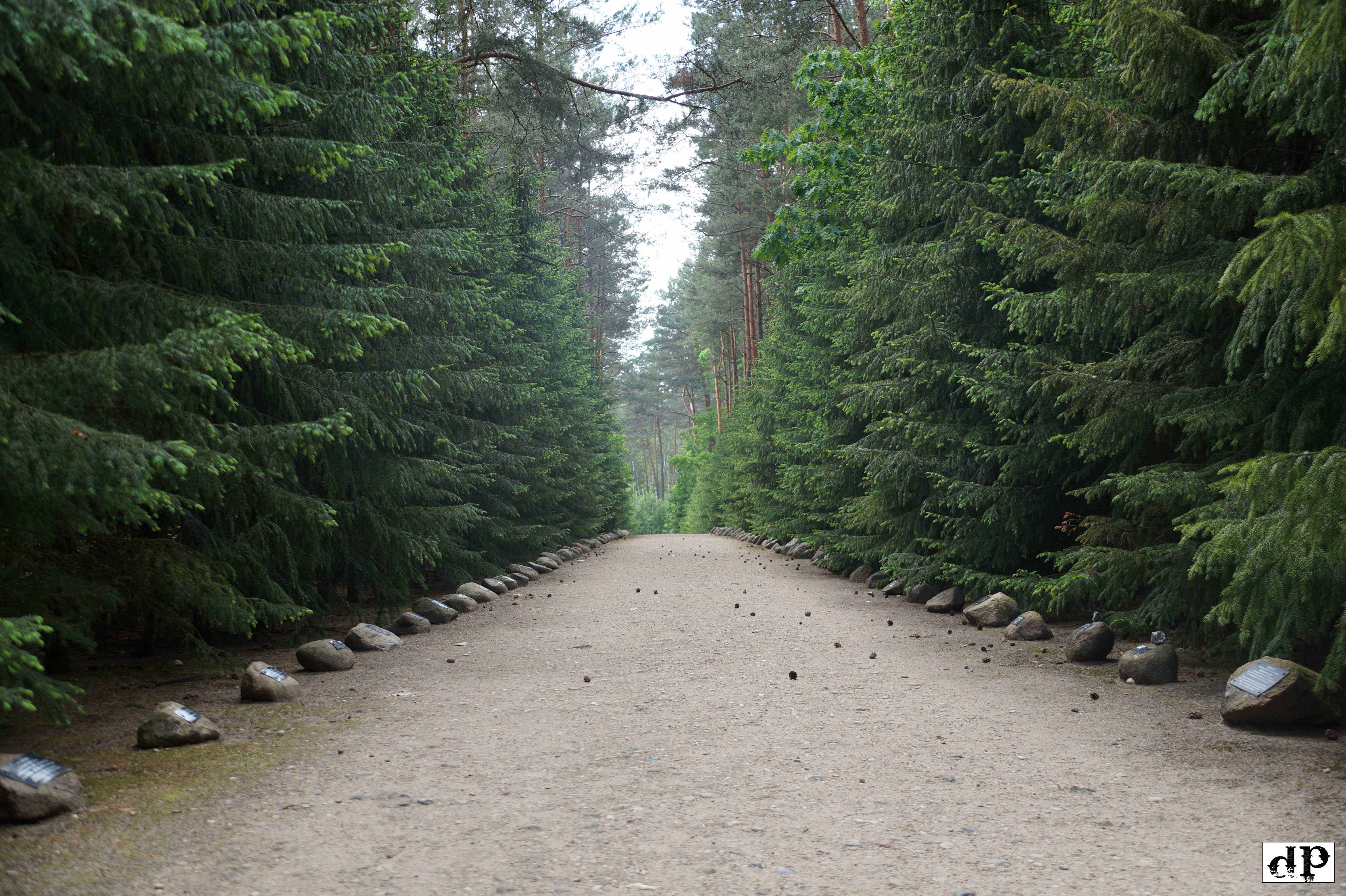 Die Gedenk-Allee in Sobibor