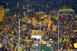 Gastauftritt beim letzten Spiel in der Sinsheimer Arena