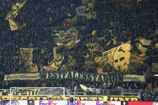 Fahnenintro auf der Südtribüne