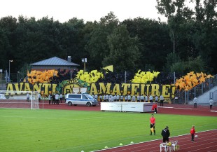 Avanti Amateure Choreografie im Gästeblock