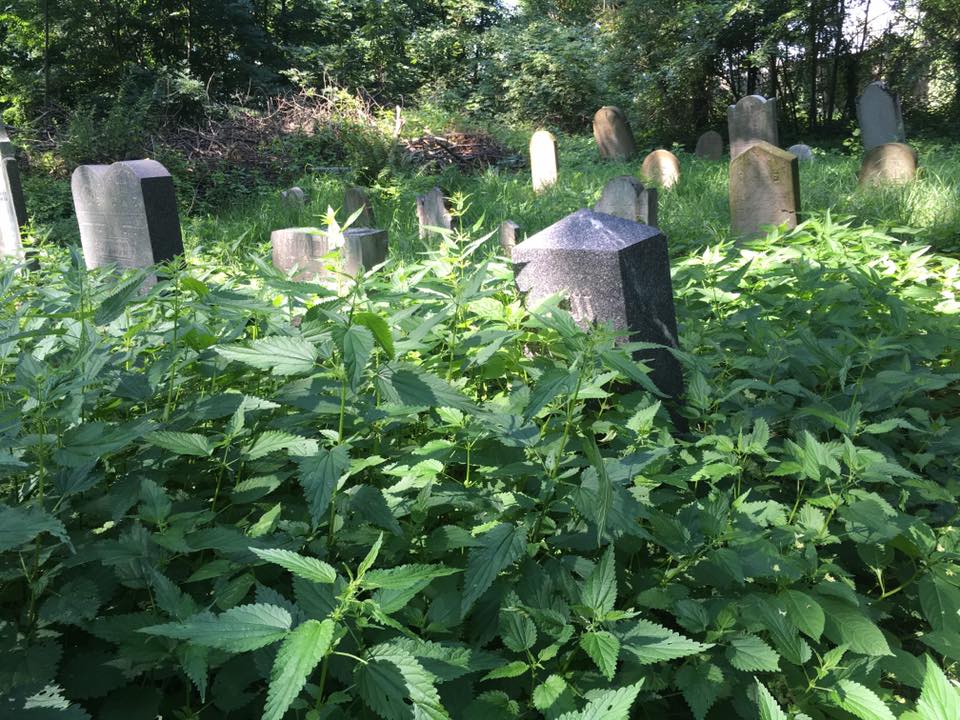 Jüdischer Friedhof in Oświęcim