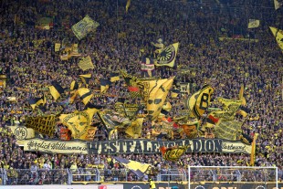 Die Südtribüne muss auch heute wieder der Rückhalt sein