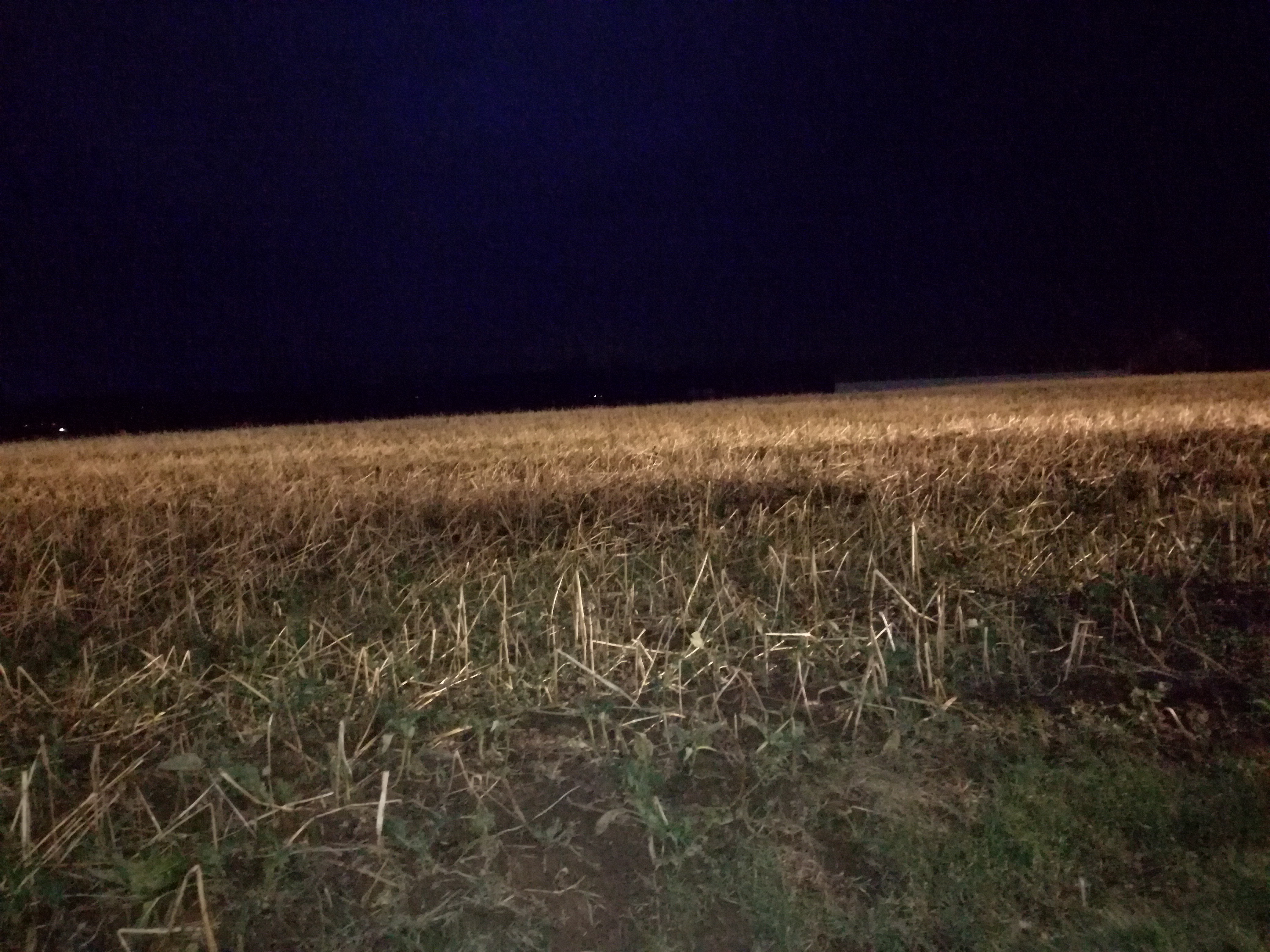 Der Weg zum Stadion