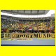 THB_5241.jpg