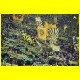THB_3084.jpg