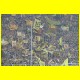 THB_0416.jpg