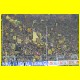 THB_7186.jpg