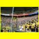 IMG_7456.jpg