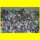 THB_9664.jpg