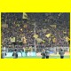 THB_6916.jpg