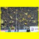 THB_8318.jpg