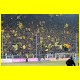 THB_8358.jpg