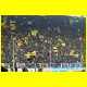 THB_8411.jpg