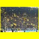 THB_8414.jpg