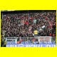 THB_8599.jpg