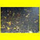 THB_6024.jpg