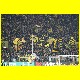 THB_6141.jpg