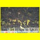THB_6150.jpg