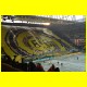 DSC_0125.jpg
