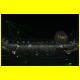 THB_5263.jpg