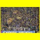 THB_3856.jpg