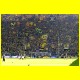 THB_3903.jpg