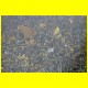 THB_3929.jpg