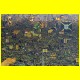 THB_4300.jpg