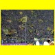 THB_4332.jpg