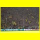 THB_4420.jpg