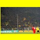 THB_7238.jpg