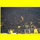 THB_7251.jpg