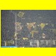 THB_7319.jpg